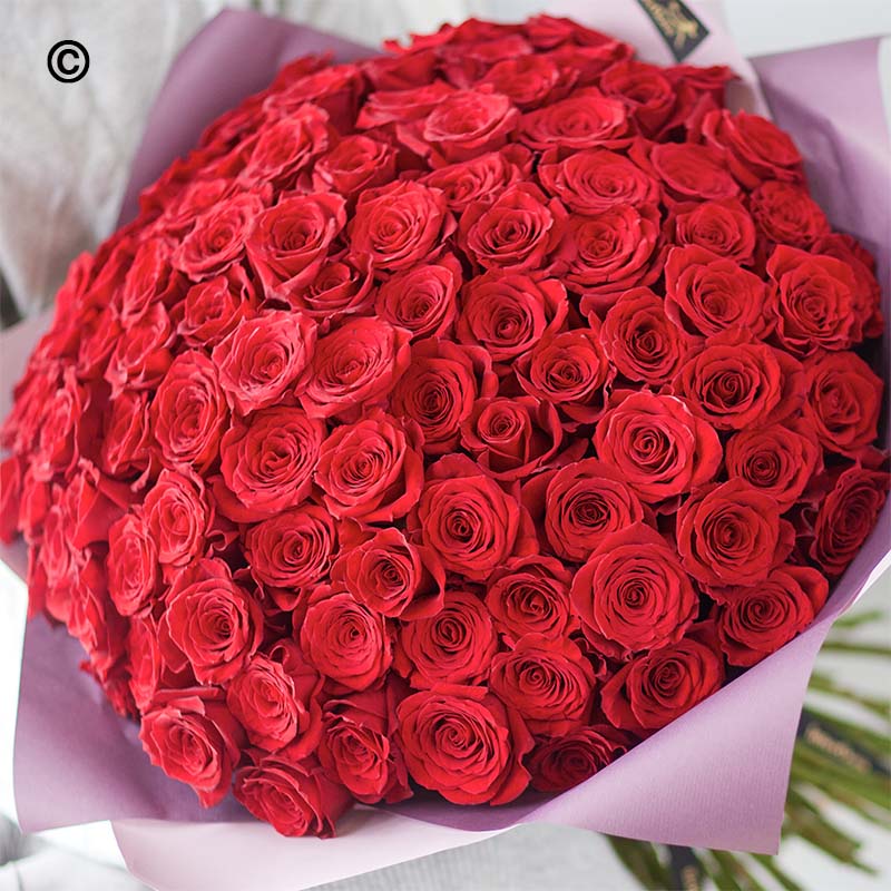 Exquisite 100 Rose Hand Tied