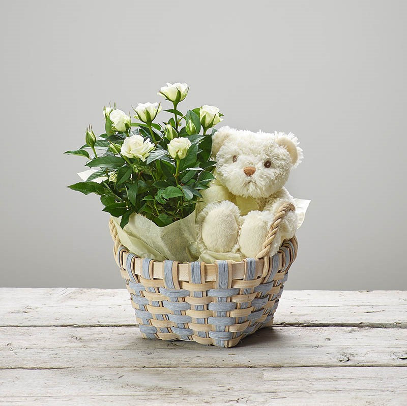 White Rose Baby Basket - Abi's Arrangements Ltd