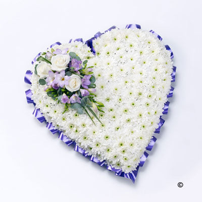 Purple Massed Heart