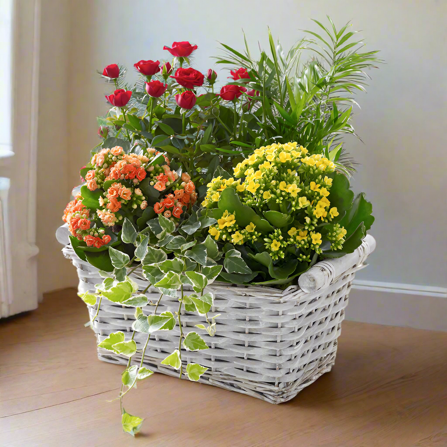 Interflora | Flower Delivery | Send Flowers Online – Abi's Arrangements