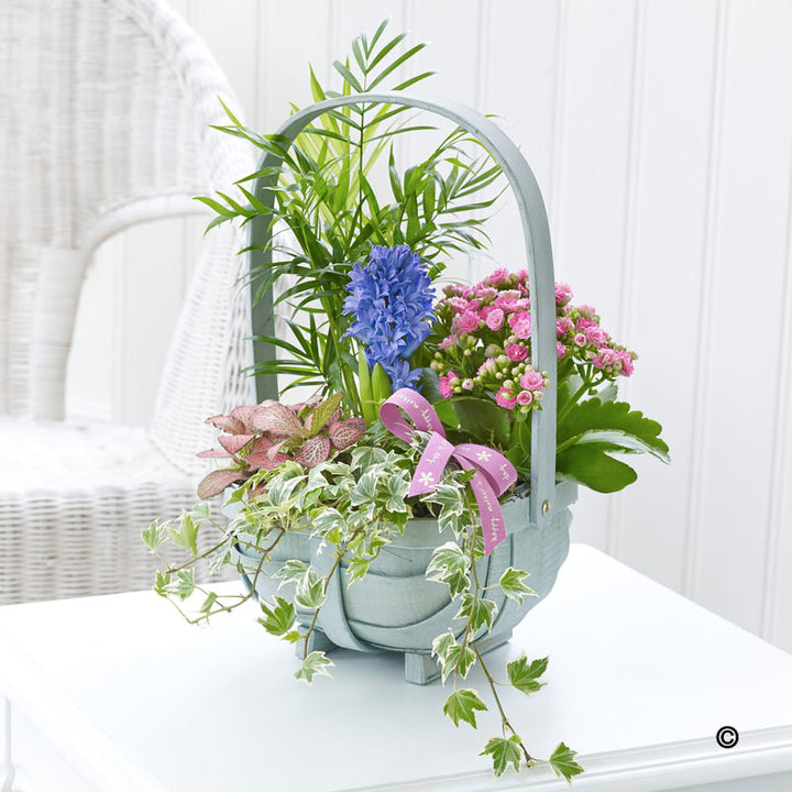 Mother's Day Planted Basket
