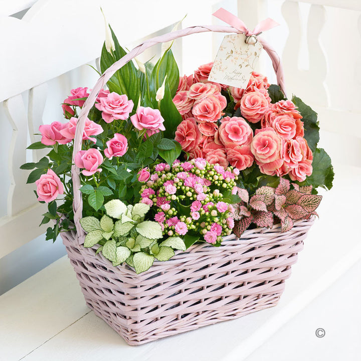 Mother's Day Planted Basket
