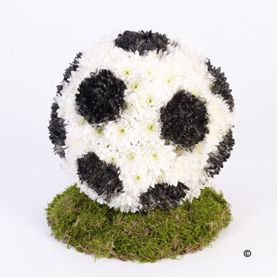 Football Tribute *contact for price*