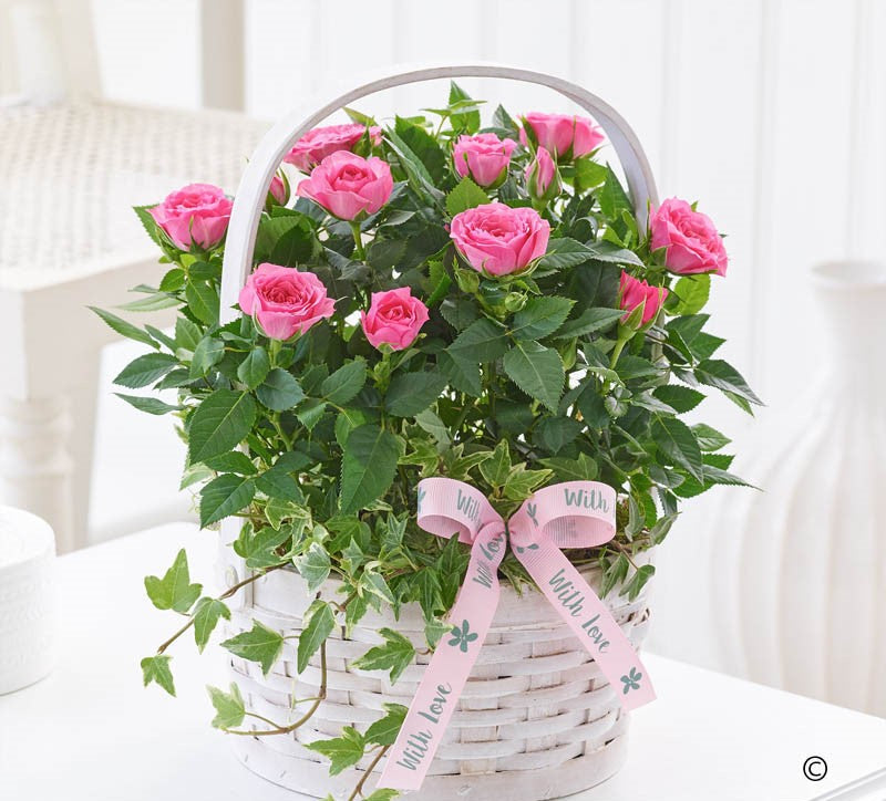 Mother's Day Pink Rose Basket - Abi's Arrangements Ltd